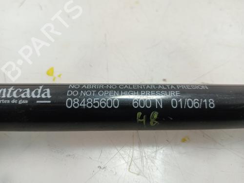 Tailgate lift support OPEL ASTRA H Estate (A04) 1.9 CDTI (L35) | BP22806029C138 
