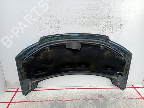 Hood VW SHARAN (7M8, 7M9, 7M6) 1.9 TDI | BP22899666C1 