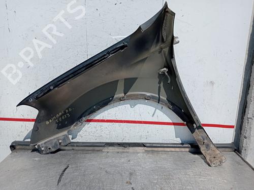 Right front fenders NISSAN QASHQAI / QASHQAI +2 I (J10, NJ10, JJ10E)  | BP27706440C42 