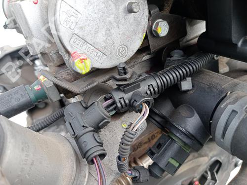 Engine VW GOLF IV (1J1)  | BP27818485M1 