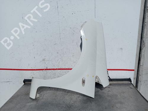 Used Left front fenders FIAT GRANDE PUNTO (199_) 1.2 (65 hp) 29211784