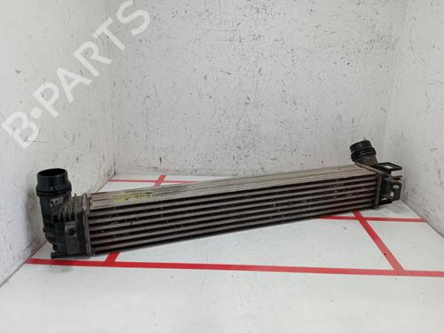 Used Intercooler RENAULT MEGANE III Hatchback (BZ0/1_, B3_) 1.2 TCe (BZ16, BZ28) (132 hp) 27680443