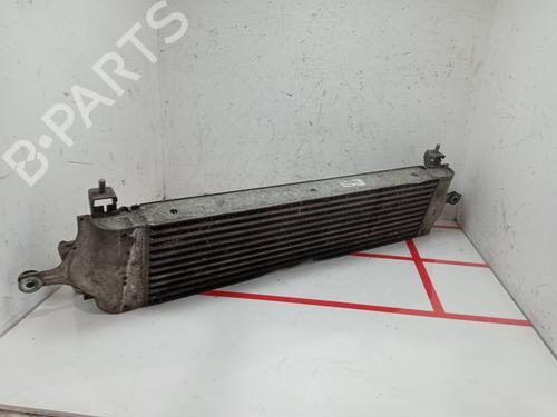 Intercooler NISSAN QASHQAI / QASHQAI +2 I (J10, NJ10, JJ10E)  | BP22967767M30 