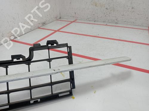 Grille MERCEDES-BENZ A-CLASS (W169) A 160 CDI (169.006, 169.306) | BP29479230C40 