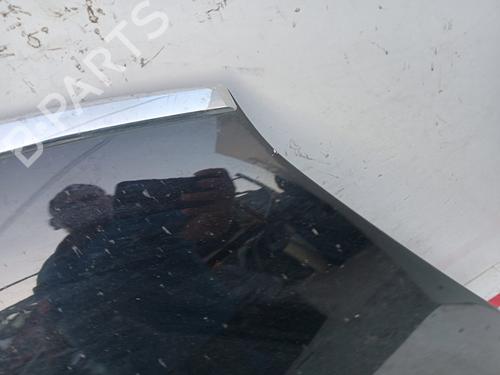 Hood CITROËN C4 Grand Picasso I (UA_) 1.6 HDi | BP19514681C1 