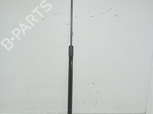 Hood lift support AUDI A6 C6 Avant (4F5) 3.0 TDI quattro | BP18904085C139 