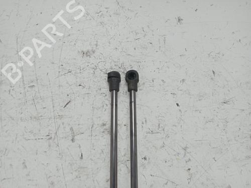 Tailgate lift support CHEVROLET CAPTIVA (C100, C140) 2.0 D | BP28837703C138 