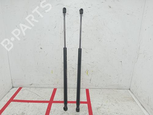 Used Tailgate lift support RENAULT GRAND SCÉNIC II (JM0/1_) 1.9 dCi (116 hp) 21837913