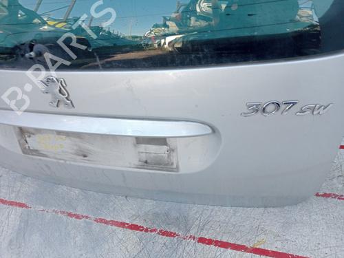 Bakluke CC/Kombi-Kupé PEUGEOT 307 (3A/C) 2.0 16V | BP26222767C6 