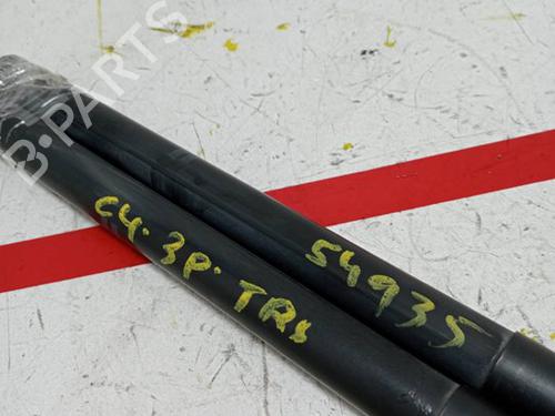Tailgate lift support CITROËN C4 Coupe (LA_) 1.6 HDi | BP15932966C138 