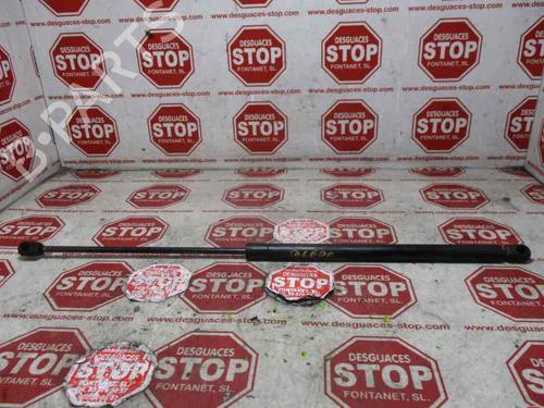 Used Hood lift support SEAT TOLEDO II (1M2) 1.9 TDI (110 hp) 15921043