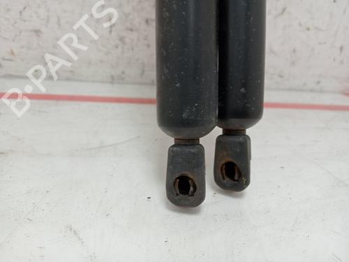 Tailgate lift support SEAT ALHAMBRA (7V8, 7V9)  | BP28509413C138 