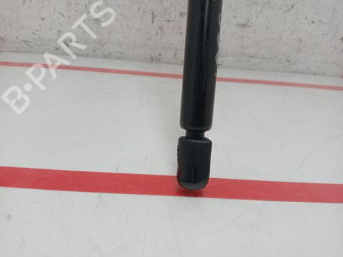 Hood lift support VW GOLF V (1K1)  | BP27696777C139 
