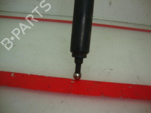 Hood lift support RENAULT MEGANE III Hatchback (BZ0/1_, B3_) 1.9 dCi (BZ0N, BZ0J) | BP15924495C139 