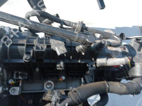 Engine FORD FOCUS IV Turnier (HP)  | BP32323525M1 