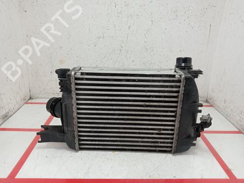 Intercooler RENAULT CLIO IV (BH_) | BP29078898M30