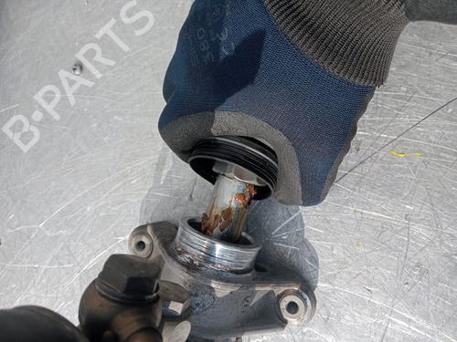 Steering rack SEAT LEON (1M1)  | BP24124331M22 