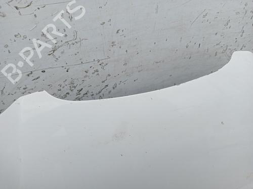 Hood SEAT IBIZA III (6L1)  | BP29117519C1 