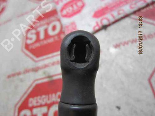 Hood lift support OPEL VECTRA C (Z02)  | BP15920594C139 