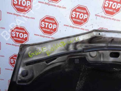 Hood VW GOLF IV (1J1) 1.9 TDI | BP7623217C1 