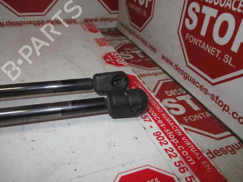 Tailgate lift support SEAT ALHAMBRA (7V8, 7V9) 1.9 TDI | BP15920645C138 