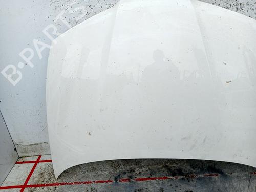 Hood SEAT IBIZA III (6L1)  | BP29138158C1 