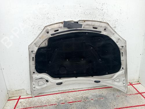 Hood VW GOLF V (1K1) | BP29584827C1