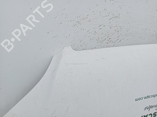 Hood MERCEDES-BENZ SPRINTER 3-t Platform/Chassis (B906) 218 CDI (906.111, 906.113, 906.211, 906.213) | BP29722038C1 
