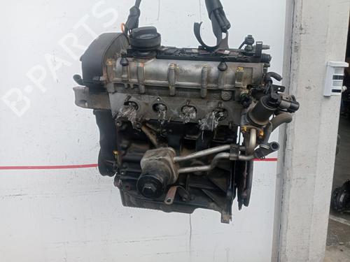 Engine VW GOLF IV (1J1)  | BP29972174M1
