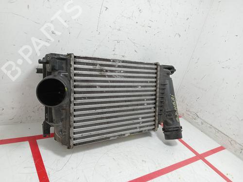 Intercooler NISSAN QASHQAI II (J11, J11_)  | BP24404644M30 
