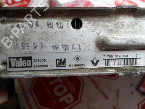 Intercooler RENAULT TRAFIC II Platform/Chassis (EL) 1.9 dCi 100 (EL0C) | BP7391014M30 