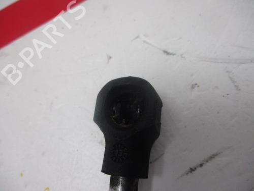 Hood lift support DACIA SANDERO  | BP15929172C139 