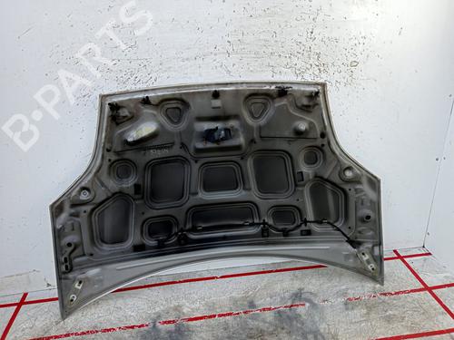 Hood FORD FIESTA V (JH_, JD_) 1.4 16V | BP22428420C1 