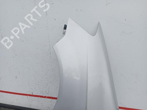 Left front fenders HYUNDAI GETZ (TB) 1.1 | BP20332266C41 