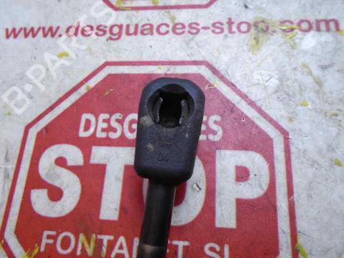 Hood lift support OPEL SIGNUM Hatchback (Z03) 1.9 CDTI (F48) | BP15921618C139 