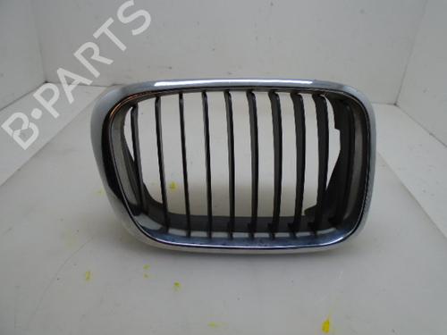 Grill BMW 3 (E46) 320 d | BP15924266C40 