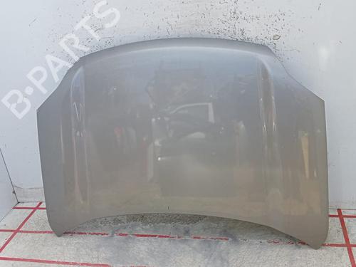 Motorhjelm NISSAN X-TRAIL II (T31) [2007-2018]  22778717