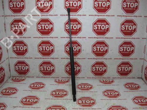 Used Hood lift support SEAT ALHAMBRA (7V8, 7V9) 1.9 TDI (115 hp) 15921922