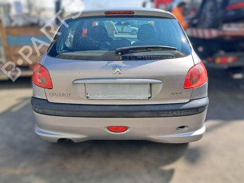 Right front door PEUGEOT 206 Hatchback (2A/C) 1.4 LPG | BP24801736C3 