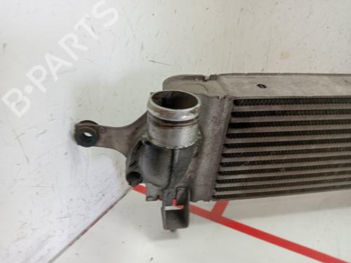 Intercooler NISSAN QASHQAI I (J10, NJ10)  | BP29117495M30 