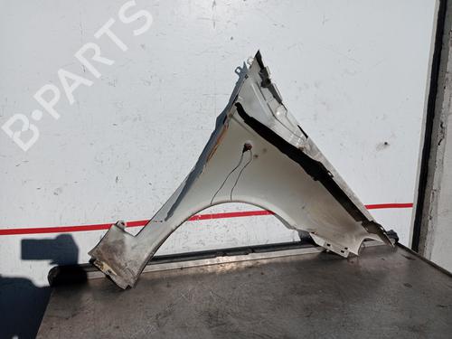 Left front fenders FIAT PUNTO (188_) 1.3 JTD 16V | BP22699636C41 