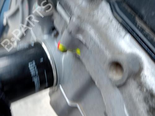 Engine HONDA JAZZ III (GE_, GG_, GP_, ZA_)  | BP29533856M1 