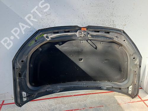 Hood VW TOURAN (1T3)  | BP29728309C1 