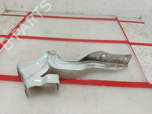 Hinge/Door check strap NISSAN QASHQAI II (J11, J11_)  | BP21517070C146 