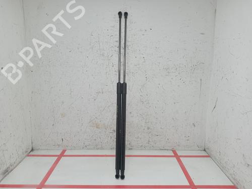 tailgate-lift-support-nissan-juke-f15-2010-2011-2012-2013-2014-2015-2016-2017-2018-2019-29191901 main image