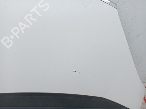 Hood CITROËN C4 Picasso I MPV (UD_) 1.6 HDi 110 | BP21763052C1 