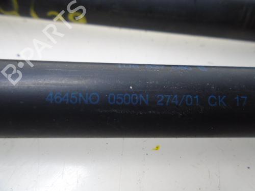 Tailgate lift support SKODA OCTAVIA I (1U2) 1.9 TDI | BP15924082C138 
