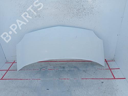 hood-renault-kangoo-express-fw01_-2008-32502137 main image