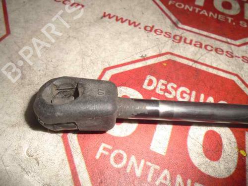 Gasfjeder motorhjelm OPEL VECTRA C (Z02)  | BP15920611C139 