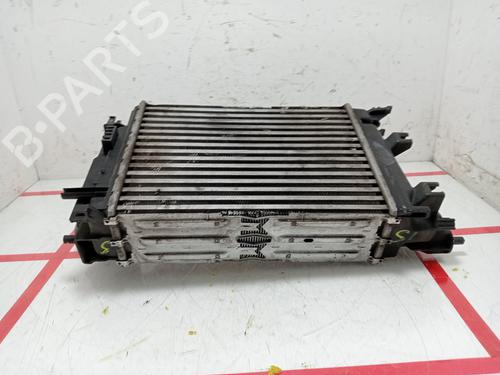 Intercooler NISSAN QASHQAI II (J11, J11_)  | BP24404644M30 